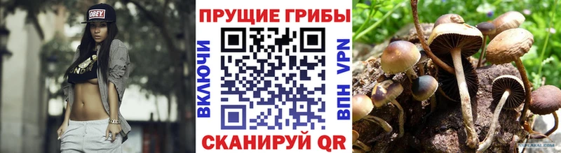Псилоцибиновые грибы GOLDEN TEACHER  Яровое 
